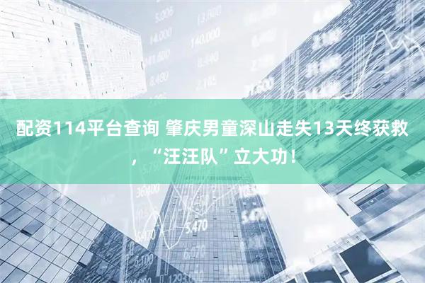 配资114平台查询 肇庆男童深山走失13天终获救，“汪汪队”立大功！